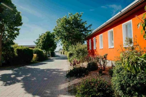 50819391153_b0b22ae6b0_k_11zon