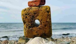 50821914542_e780ca740a_4k-scaled_11zon