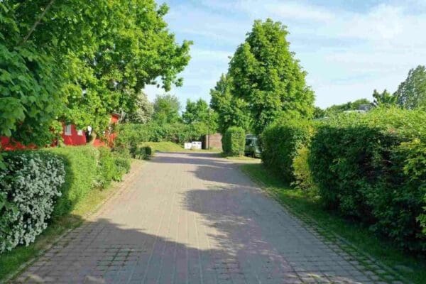 52391500297_5111b8b5f9_k_11zon