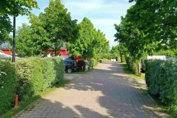 52391501722_b34e603f26_k_11zon