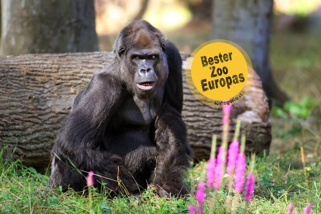 Zoo besuch Rostock Camping Ostsee